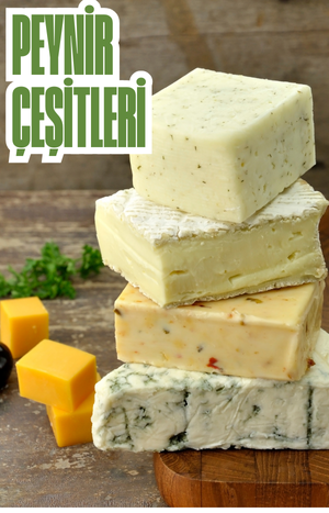 PEYNİR ÜRÜNLERİ